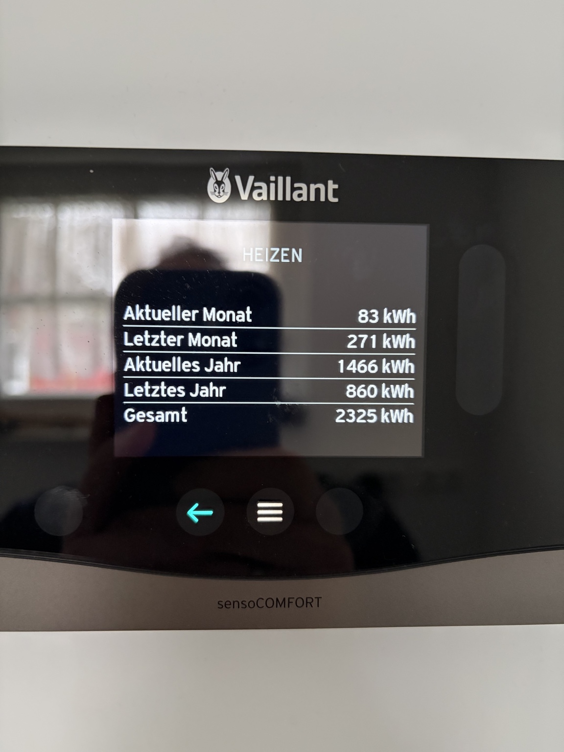 Vaillant Wärmepumpe Betriebsdaten Anzeige Heizenergie kWh Auswertung Gutachter Schleswig Holstein
